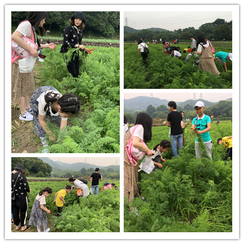 八卦田遺址公園