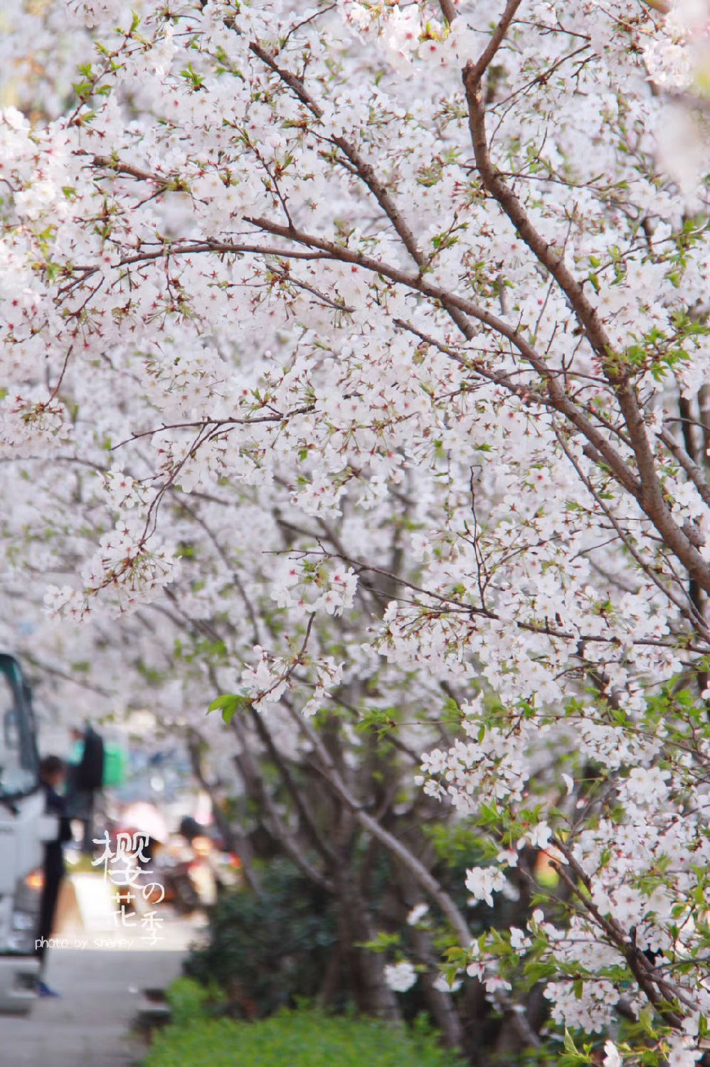 春暖花開日 日新環(huán)境復(fù)工進(jìn)行中