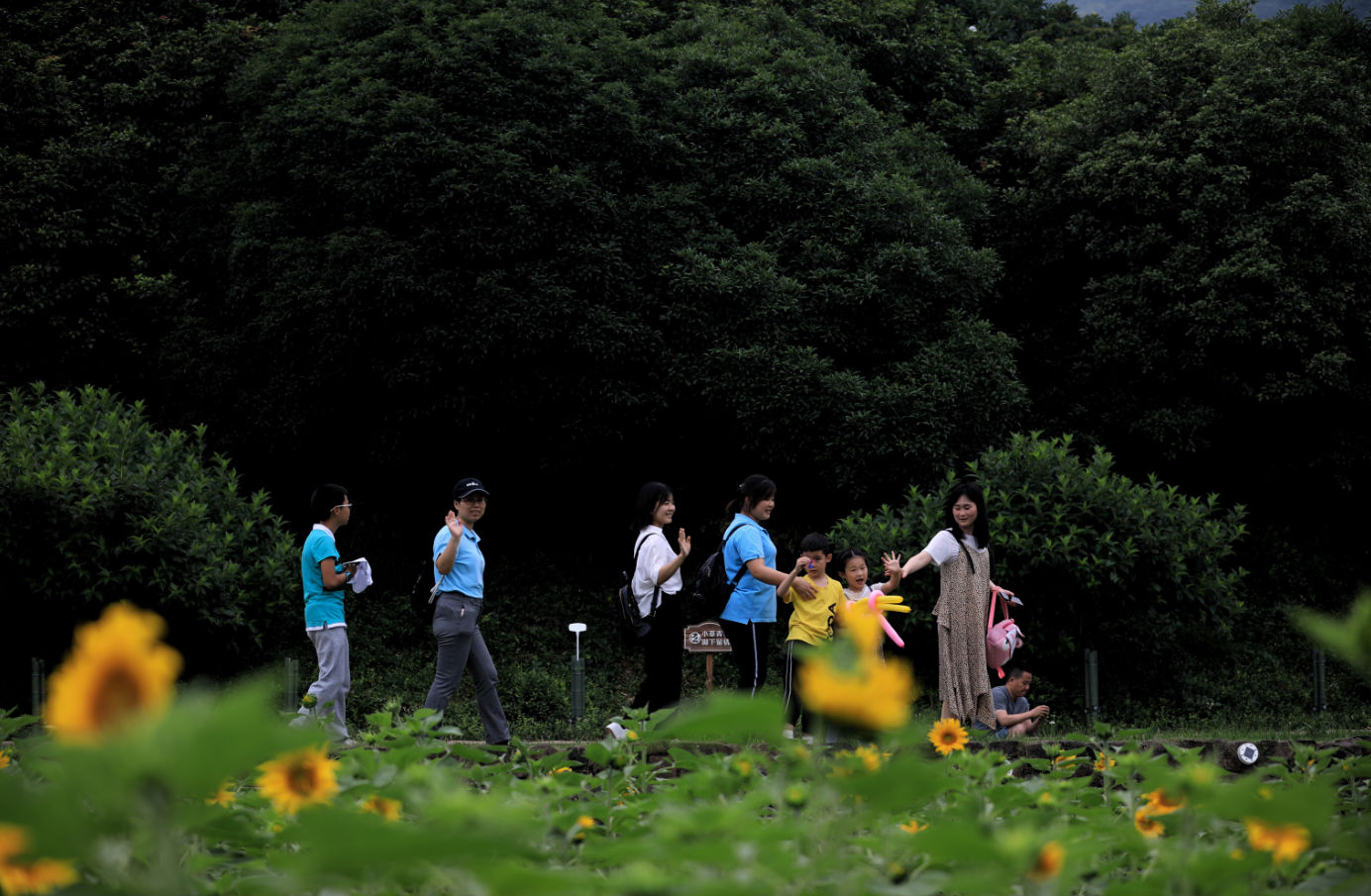 【日新環(huán)境心語】4月17日,“貪心”的努力