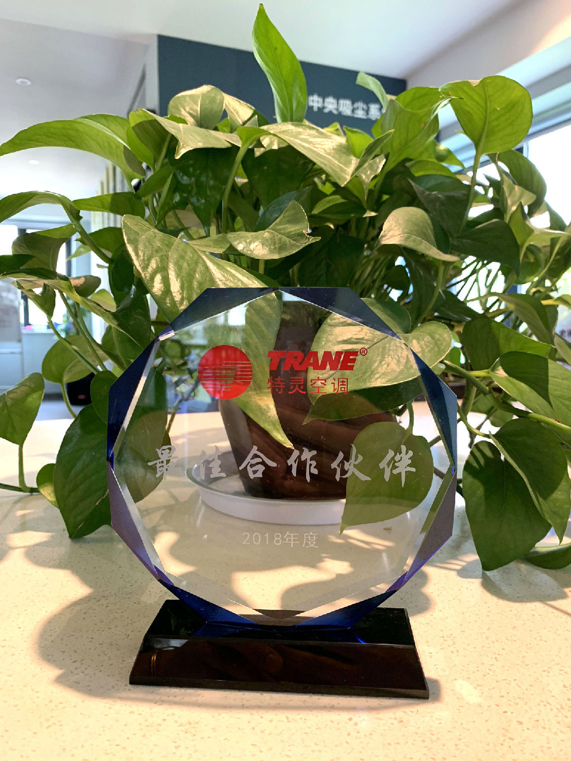 2018年度日新環(huán)境獲得特靈空調(diào)“最佳合作伙伴獎(jiǎng)”