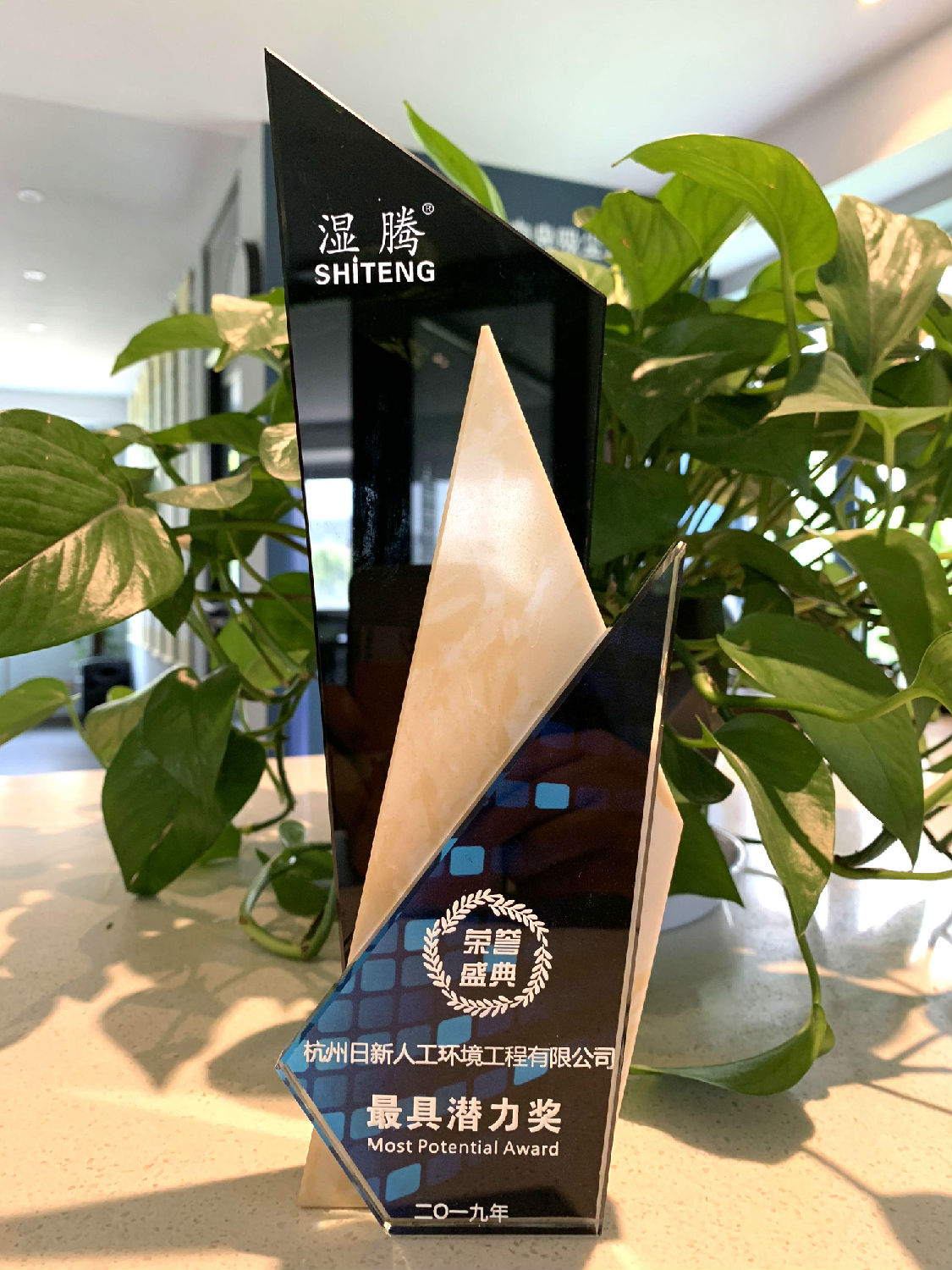 2019年日新環(huán)境榮獲濕騰頒發(fā)“最具潛力獎(jiǎng)”