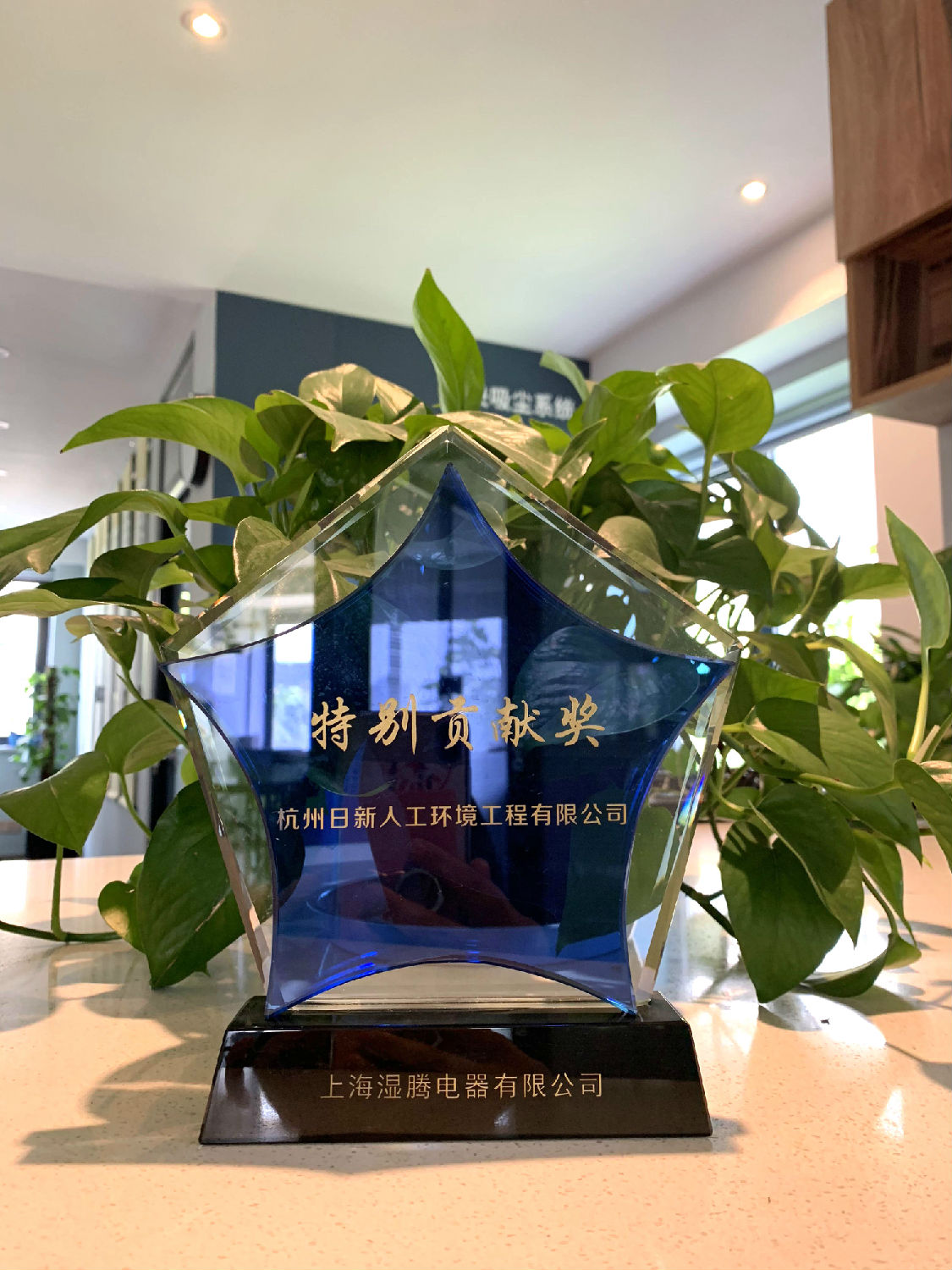 2019年日新環(huán)境榮獲濕騰頒發(fā)“特別貢獻(xiàn)獎(jiǎng)”