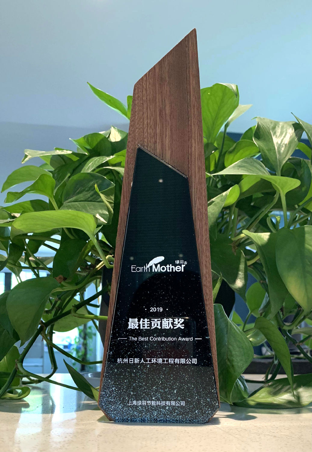 2019年日新環(huán)境榮獲綠羽地暖保溫板頒發(fā)“最佳貢獻(xiàn)獎(jiǎng)”