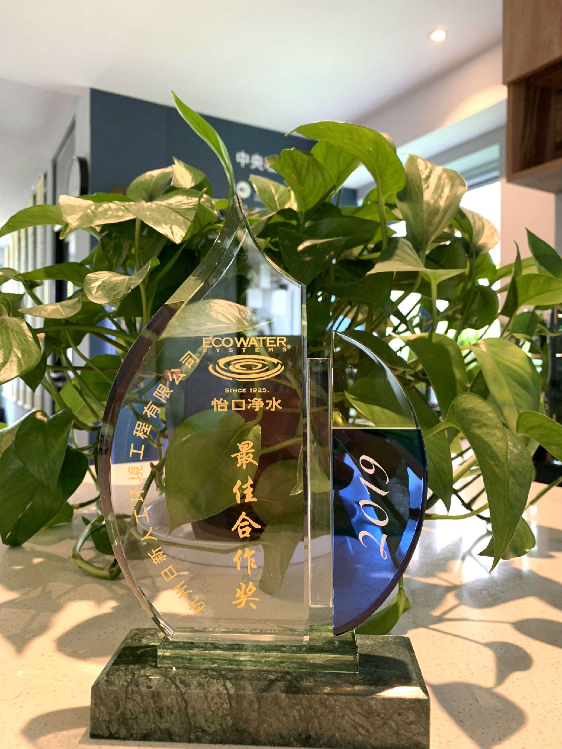 2019年日新環(huán)境榮獲怡口水處理頒發(fā)“最佳合作獎(jiǎng)”