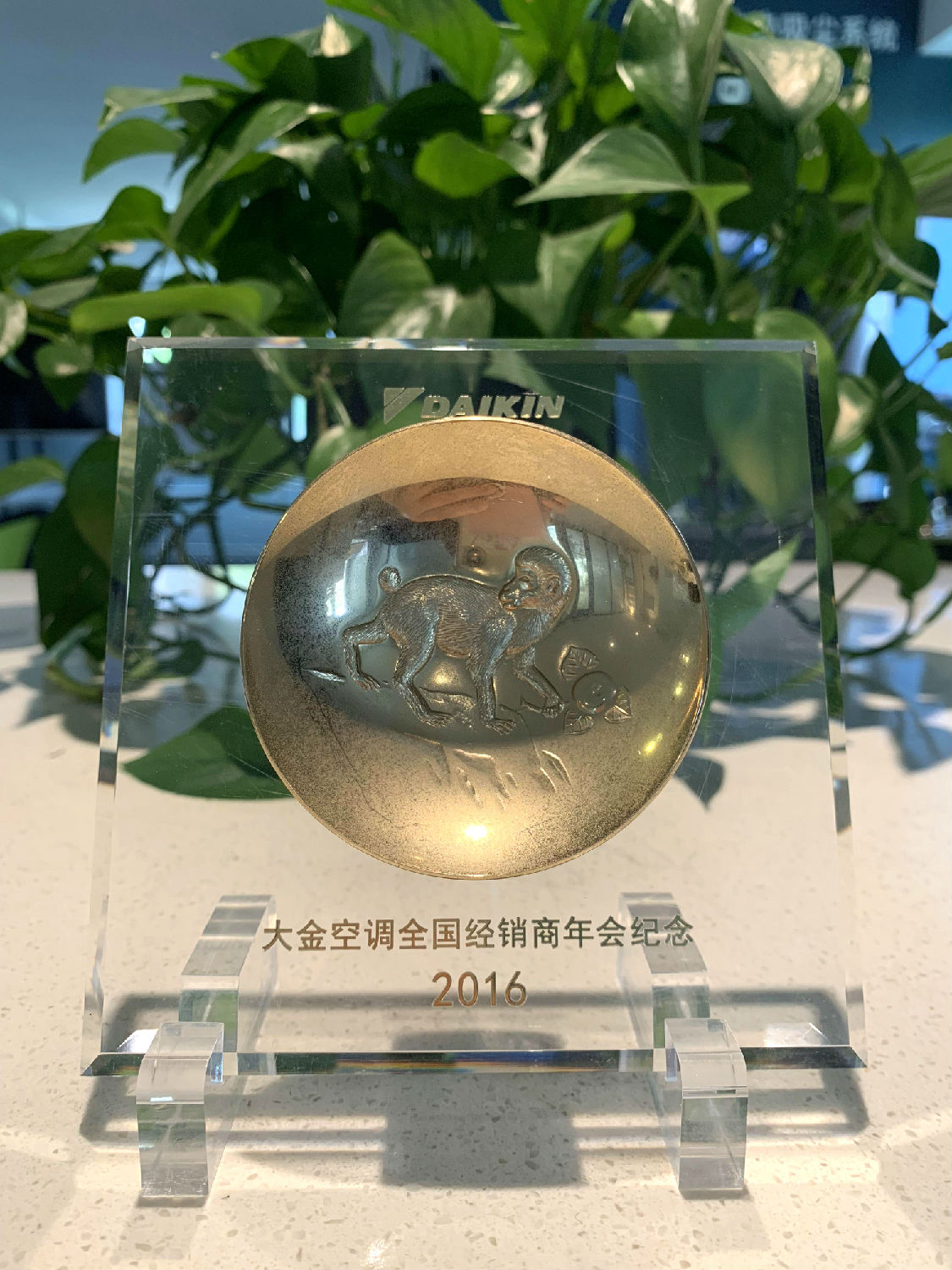 2016年日新環(huán)境大金空調(diào)全國經(jīng)銷商年會紀念品