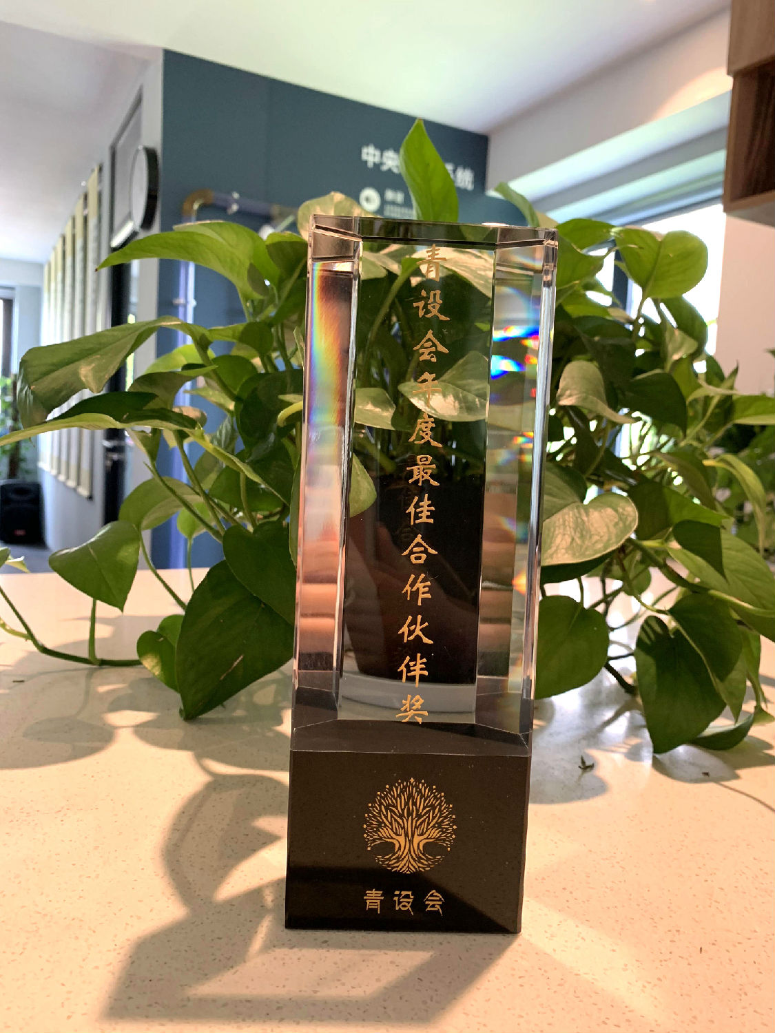 2019年日新環(huán)境榮獲青設(shè)會(huì)年度最佳合作伙伴獎(jiǎng)
