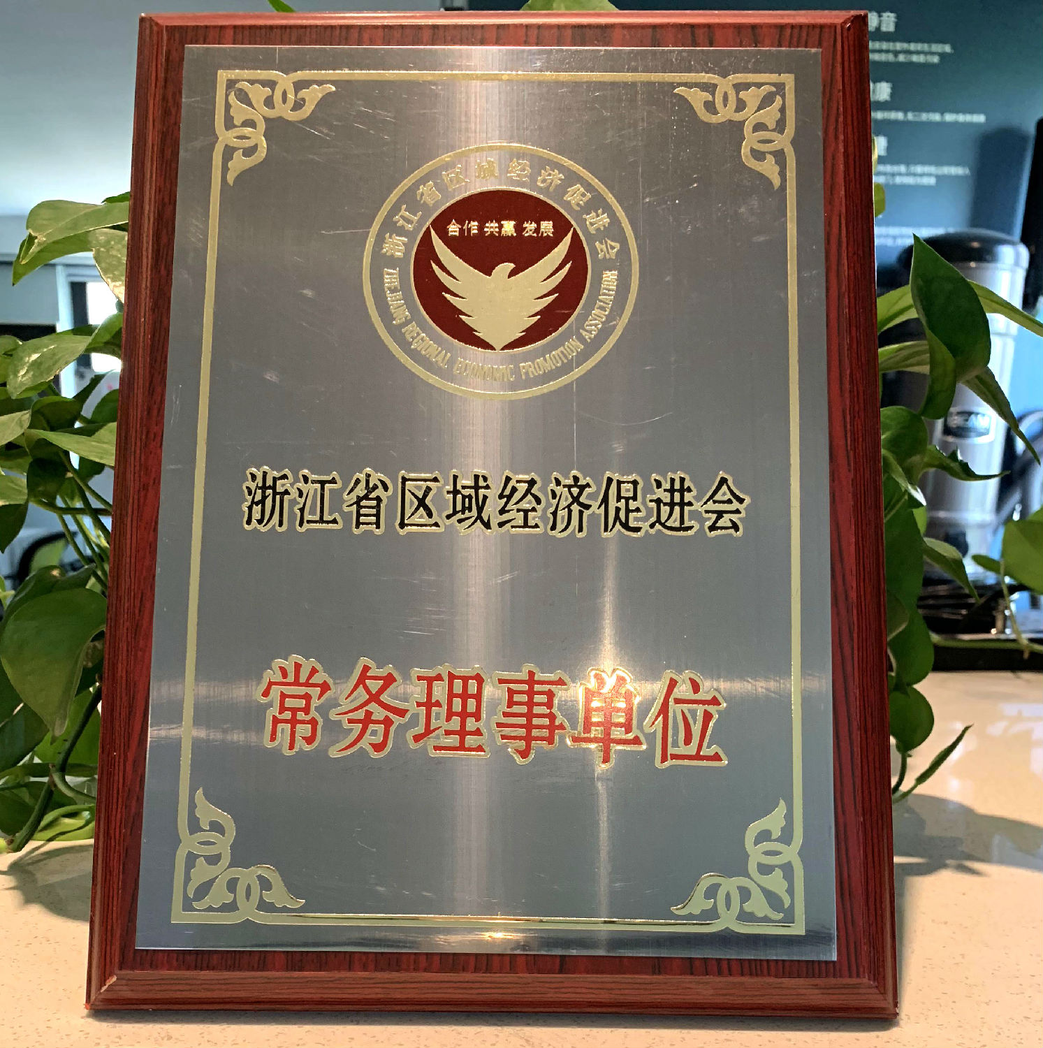 日新環(huán)境 浙江省區(qū)域經(jīng)濟(jì)促進(jìn)會常務(wù)理事單位