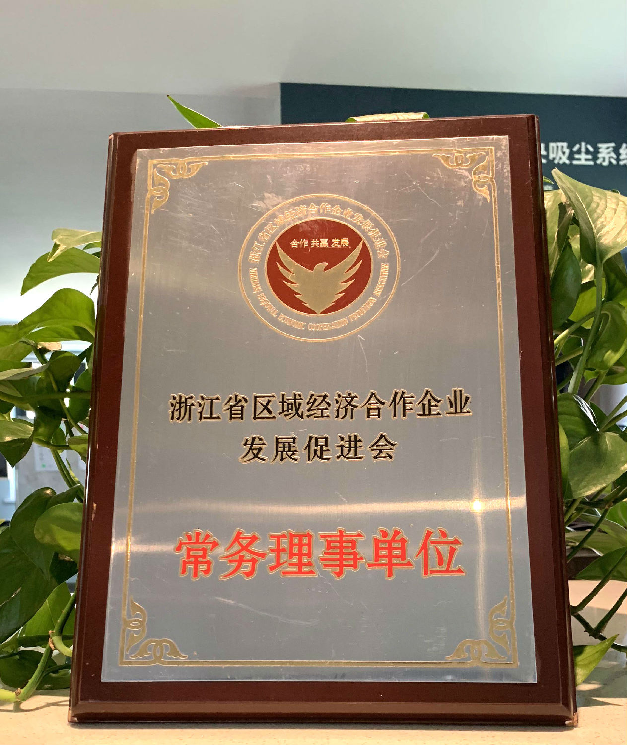 日新環(huán)境 浙江省區(qū)域經(jīng)濟(jì)合作企業(yè)發(fā)展促進(jìn)會(huì)常務(wù)理事單位
