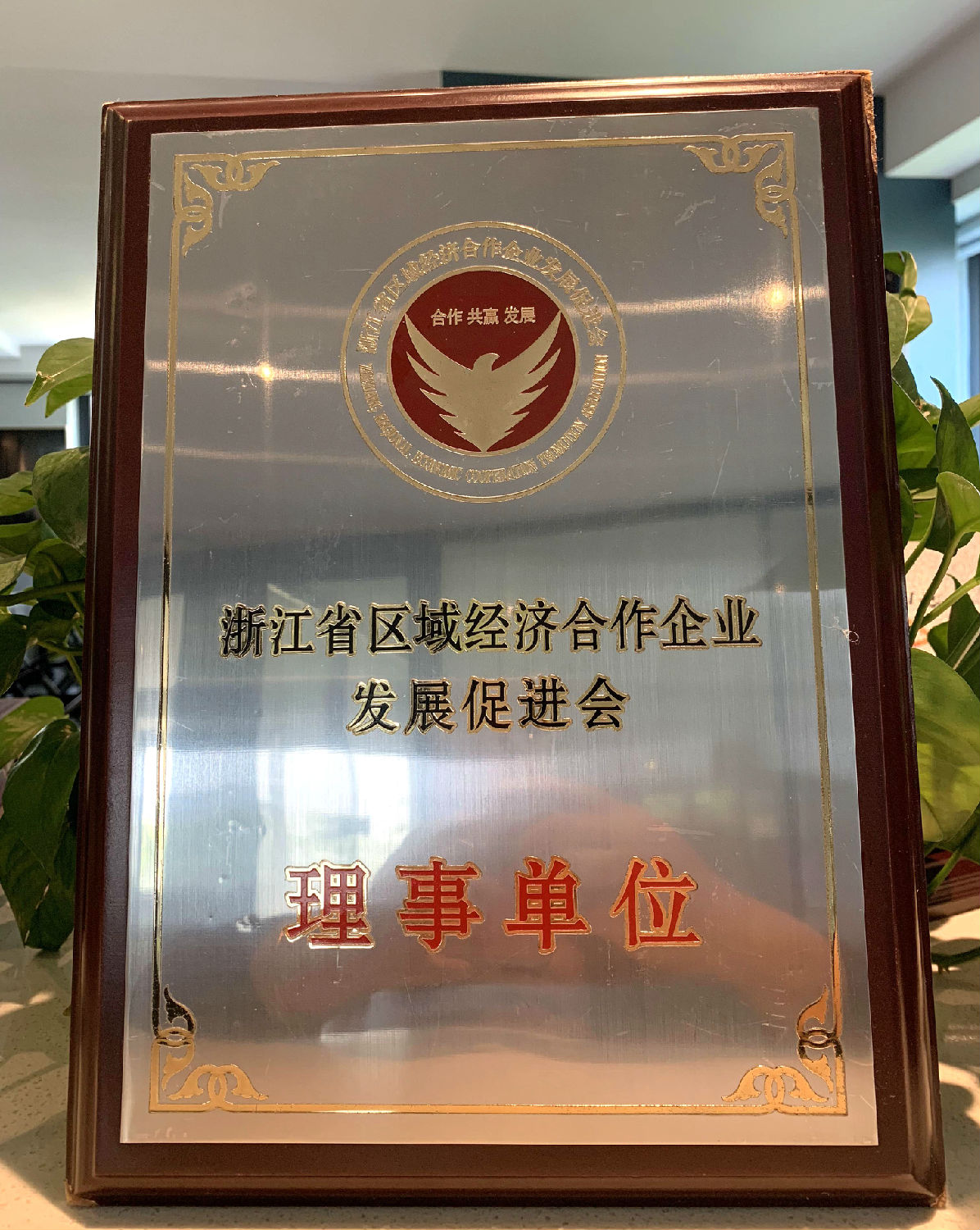 日新環(huán)境 浙江省區(qū)域經(jīng)濟(jì)合作企業(yè)發(fā)展促進(jìn)會(huì)理事單位