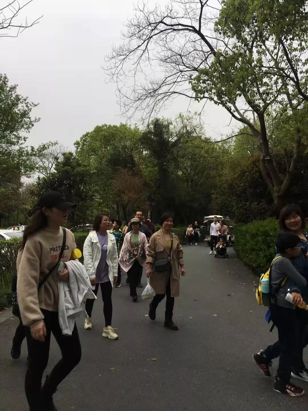 日新環(huán)境3月西溪濕地花朝節(jié)游記 