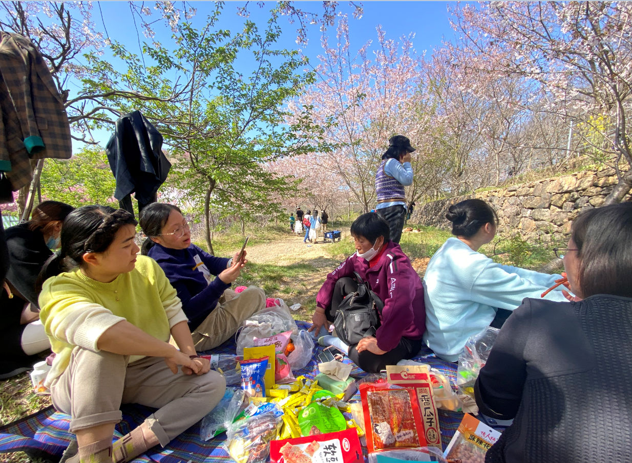 櫻花谷之約！日新環(huán)境“三八”婦女節(jié)好精彩